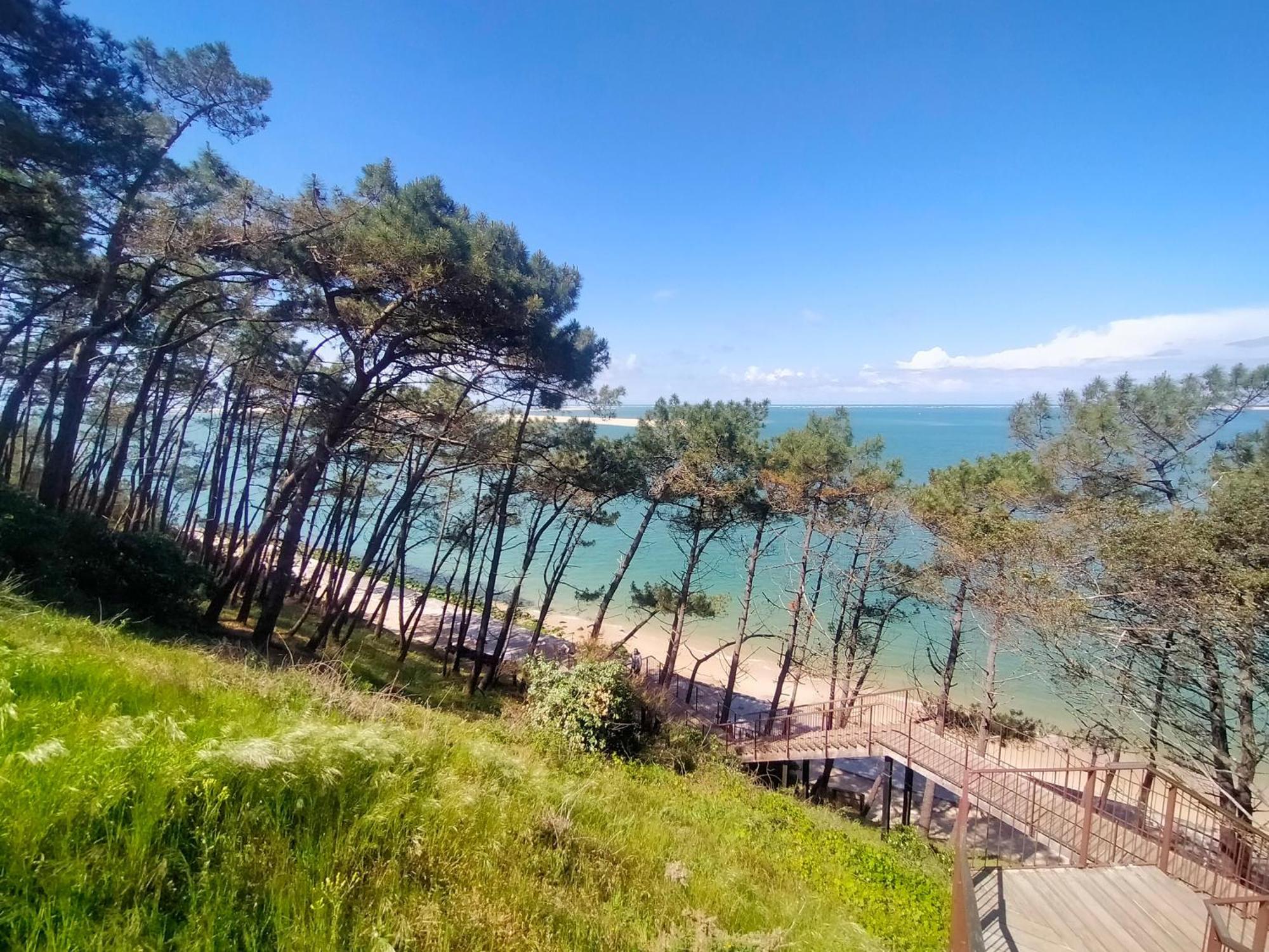 Gite Avec Piscine Et Espace Bien-Etre Partages Entre Bordeaux Et Lacanau Ocean (Adults Only) Brach エクステリア 写真
